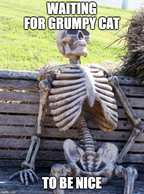 Waiting Skeleton Meme | WAITING FOR GRUMPY CAT TO BE NICE | image tagged in memes,waiting skeleton | made w/ Imgflip meme maker