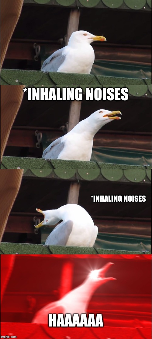Inhaling Seagull | *INHALING NOISES; *INHALING NOISES; HAAAAAA | image tagged in memes,inhaling seagull | made w/ Imgflip meme maker