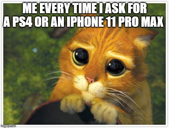 Shrek Cat | ME EVERY TIME I ASK FOR A PS4 OR AN IPHONE 11 PRO MAX | image tagged in memes,shrek cat | made w/ Imgflip meme maker
