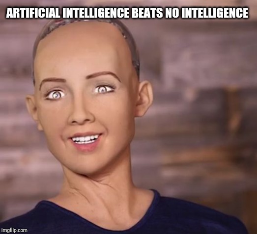 Robot_destroy_all_humans | ARTIFICIAL INTELLIGENCE BEATS NO INTELLIGENCE | image tagged in robot_destroy_all_humans | made w/ Imgflip meme maker