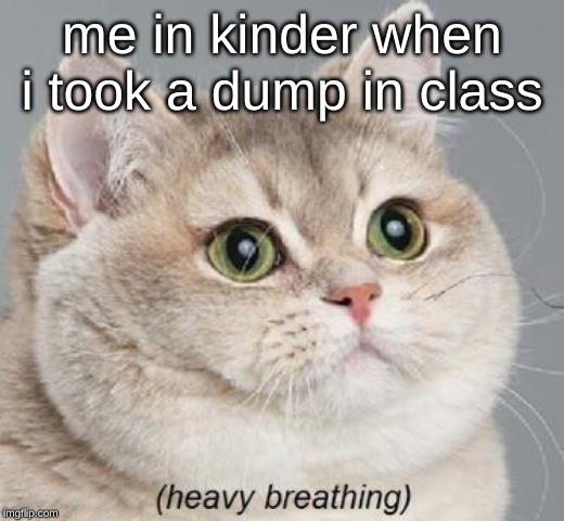 Heavy Breathing Cat Meme | me in kinder when i took a dump in class | image tagged in memes,heavy breathing cat | made w/ Imgflip meme maker