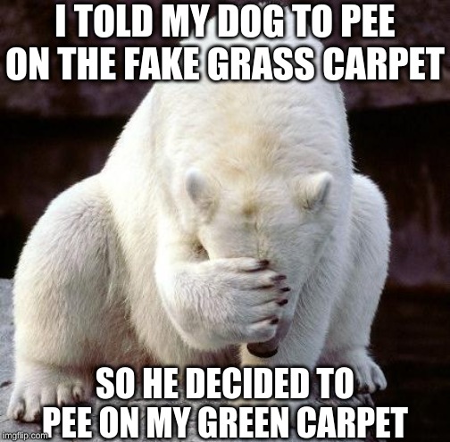 shame | I TOLD MY DOG TO PEE ON THE FAKE GRASS CARPET; SO HE DECIDED TO PEE ON MY GREEN CARPET | image tagged in shame | made w/ Imgflip meme maker