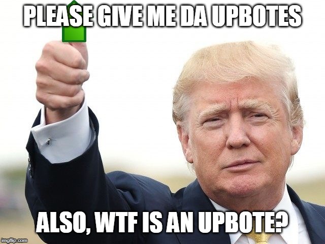 Trump Upvote | PLEASE GIVE ME DA UPBOTES ALSO, WTF IS AN UPBOTE? | image tagged in trump upvote | made w/ Imgflip meme maker