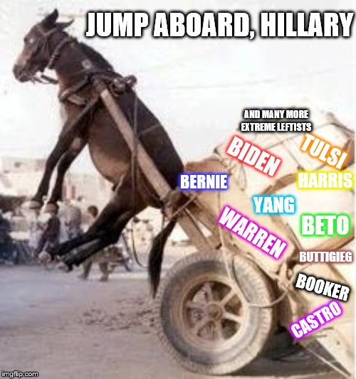 When you overload your ass | JUMP ABOARD, HILLARY; AND MANY MORE EXTREME LEFTISTS; TULSI; BIDEN; BERNIE; HARRIS; YANG; BETO; WARREN; BUTTIGIEG; BOOKER; CASTRO | image tagged in overloaded donkey,memes,funny,political | made w/ Imgflip meme maker