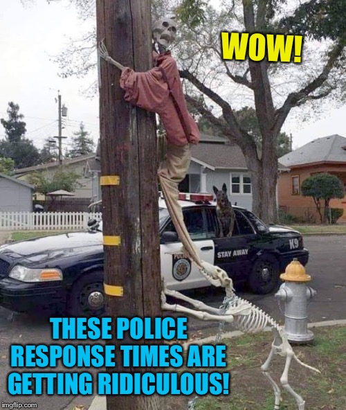 Johnny come lately | WOW! THESE POLICE RESPONSE TIMES ARE GETTING RIDICULOUS! | image tagged in halloween,decorating,police,fail,funny memes | made w/ Imgflip meme maker
