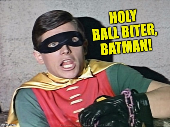 batman robin holy burt ward | HOLY BALL BITER, BATMAN! | image tagged in batman robin holy burt ward | made w/ Imgflip meme maker