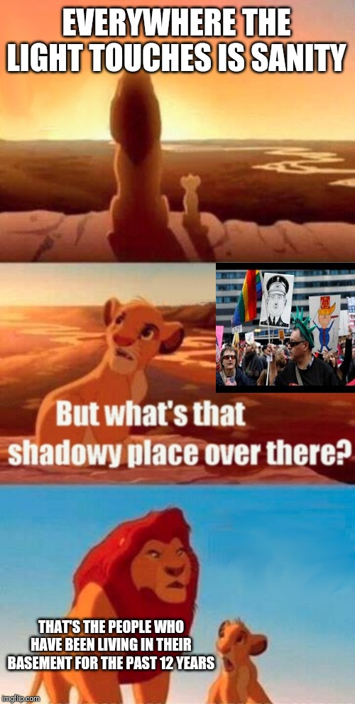 I mean the protesters don't have anything better to do. They protest trump while people are shot and killed every day there. | EVERYWHERE THE LIGHT TOUCHES IS SANITY; THAT'S THE PEOPLE WHO HAVE BEEN LIVING IN THEIR BASEMENT FOR THE PAST 12 YEARS | image tagged in memes,simba shadowy place | made w/ Imgflip meme maker