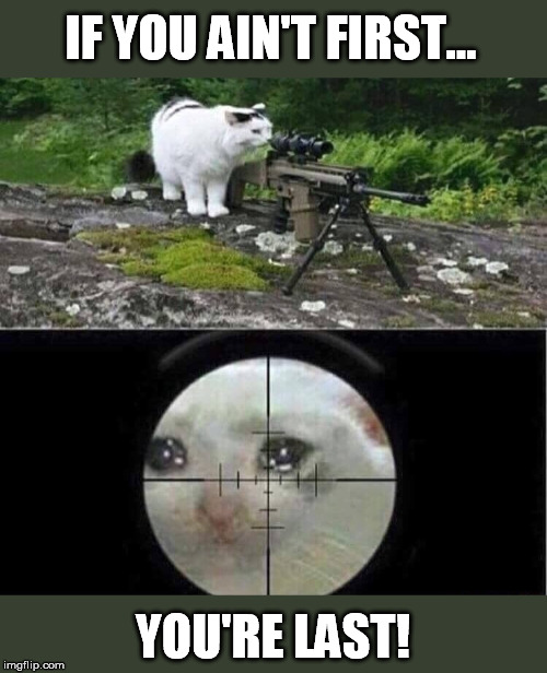 Sniper cat | IF YOU AIN'T FIRST... YOU'RE LAST! | image tagged in sniper cat | made w/ Imgflip meme maker