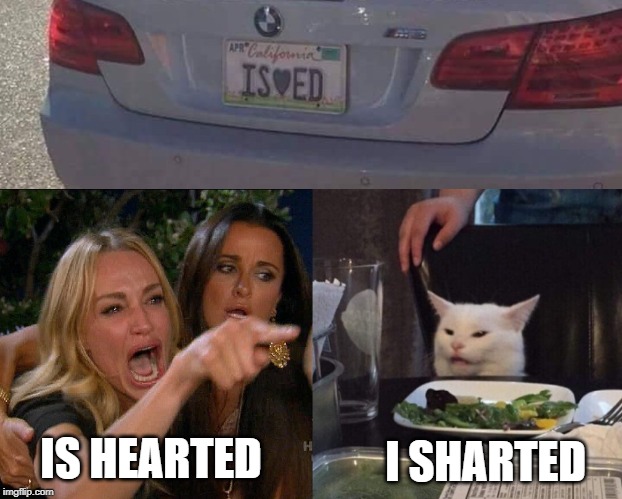 I SHARTED; IS HEARTED | image tagged in woman yelling at cat,cat,sharted,heart,hearted,bmw | made w/ Imgflip meme maker