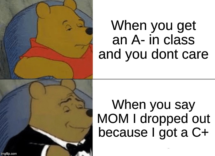 Tuxedo Winnie The Pooh | When you get an A- in class and you dont care; When you say MOM I dropped out because I got a C+ | image tagged in memes,tuxedo winnie the pooh | made w/ Imgflip meme maker