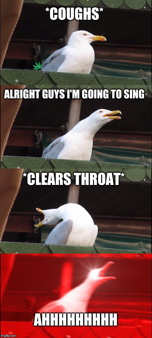 Inhaling Seagull | *COUGHS*; ALRIGHT GUYS I'M GOING TO SING; *CLEARS THROAT*; AHHHHHHHHH | image tagged in memes,inhaling seagull | made w/ Imgflip meme maker