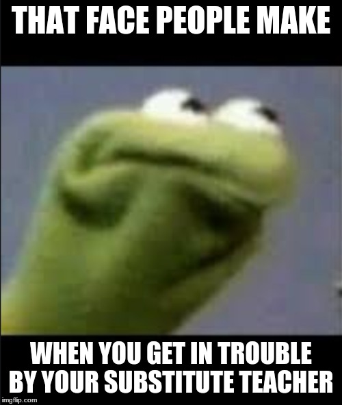 THAT FACE PEOPLE MAKE; WHEN YOU GET IN TROUBLE BY YOUR SUBSTITUTE TEACHER | image tagged in funny | made w/ Imgflip meme maker