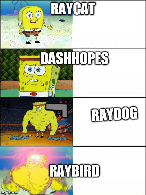 Upgraded strong spongebob | RAYCAT; DASHHOPES; RAYDOG; RAYBIRD | image tagged in upgraded strong spongebob,funny memes | made w/ Imgflip meme maker