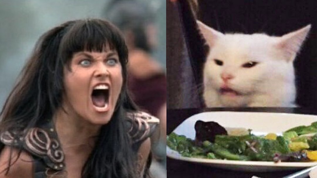 High Quality Xena yelling at cat Blank Meme Template