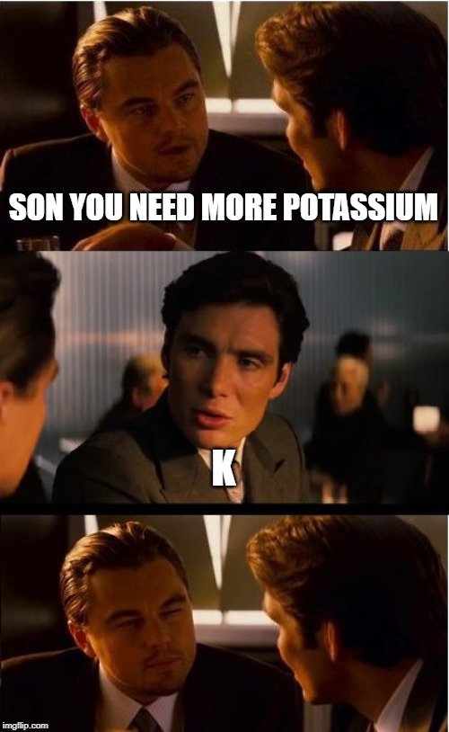 Inception Meme | SON YOU NEED MORE POTASSIUM; K | image tagged in memes,inception | made w/ Imgflip meme maker
