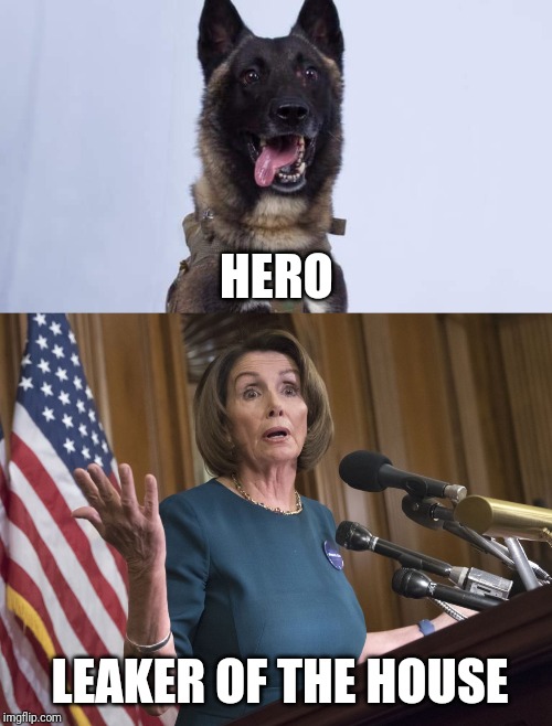 Fitting... | HERO; LEAKER OF THE HOUSE | image tagged in nancy pelosi,syria hero dog,hero,wounded warrior | made w/ Imgflip meme maker