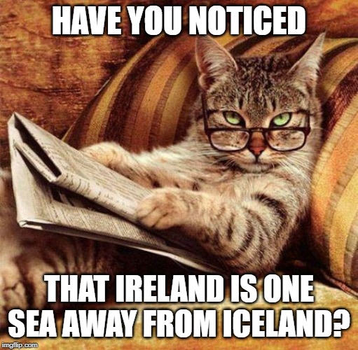 Smart Cat | HAVE YOU NOTICED; THAT IRELAND IS ONE SEA AWAY FROM ICELAND? | image tagged in smart cat | made w/ Imgflip meme maker