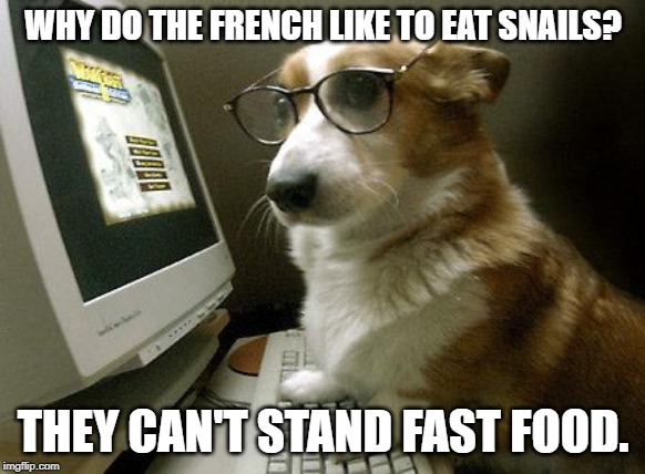 Smart Dog |  WHY DO THE FRENCH LIKE TO EAT SNAILS? THEY CAN'T STAND FAST FOOD. | image tagged in smart dog | made w/ Imgflip meme maker