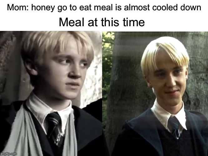 Draco Malfoy Meme | Mom: honey go to eat meal is almost cooled down; Meal at this time | image tagged in draco malfoy,harry potter,hot,misunderstood,character,funny memes | made w/ Imgflip meme maker