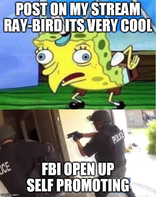 POST ON MY STREAM RAY-BIRD ITS VERY COOL; FBI OPEN UP SELF PROMOTING | image tagged in memes,mocking spongebob,fbi open up | made w/ Imgflip meme maker