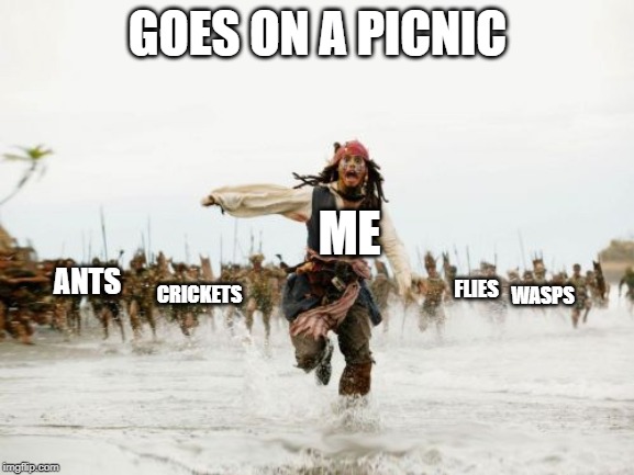 Jack Sparrow Being Chased | GOES ON A PICNIC; ME; ANTS; FLIES; CRICKETS; WASPS | image tagged in memes,jack sparrow being chased | made w/ Imgflip meme maker