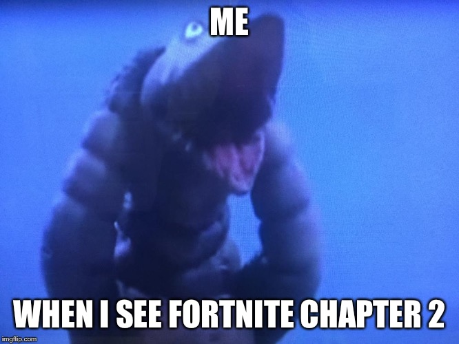 telesdon goofed up | ME; WHEN I SEE FORTNITE CHAPTER 2 | image tagged in telesdon goofed up | made w/ Imgflip meme maker