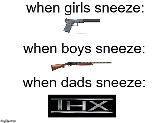 Blank White Template | when girls sneeze:; when boys sneeze:; when dads sneeze: | image tagged in blank white template | made w/ Imgflip meme maker