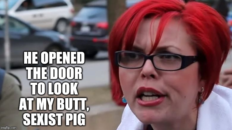  triggered | HE OPENED THE DOOR TO LOOK AT MY BUTT, SEXIST PIG | image tagged in triggered | made w/ Imgflip meme maker