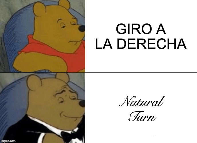Tuxedo Winnie The Pooh Meme | GIRO A LA DERECHA; Natural Turn | image tagged in memes,tuxedo winnie the pooh | made w/ Imgflip meme maker