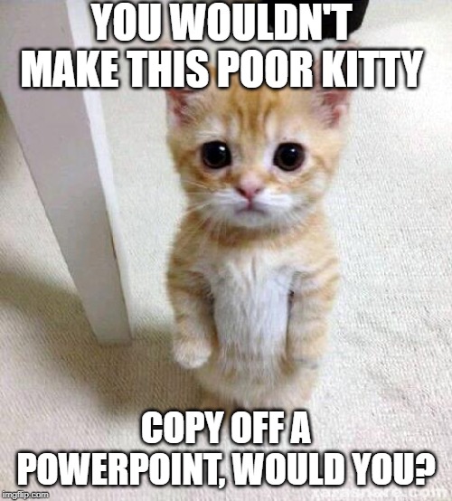 Cute Cat | YOU WOULDN'T MAKE THIS POOR KITTY; COPY OFF A POWERPOINT, WOULD YOU? | image tagged in memes,cute cat | made w/ Imgflip meme maker