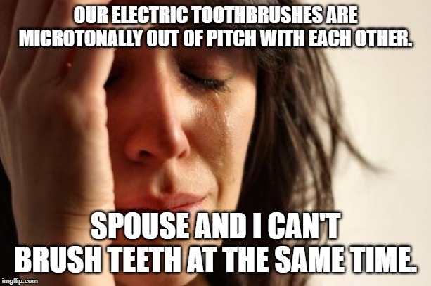 First World Problems Meme | OUR ELECTRIC TOOTHBRUSHES ARE MICROTONALLY OUT OF PITCH WITH EACH OTHER. SPOUSE AND I CAN'T BRUSH TEETH AT THE SAME TIME. | image tagged in memes,first world problems | made w/ Imgflip meme maker