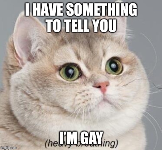 Heavy Breathing Cat | I HAVE SOMETHING TO TELL YOU; I’M GAY | image tagged in memes,heavy breathing cat | made w/ Imgflip meme maker