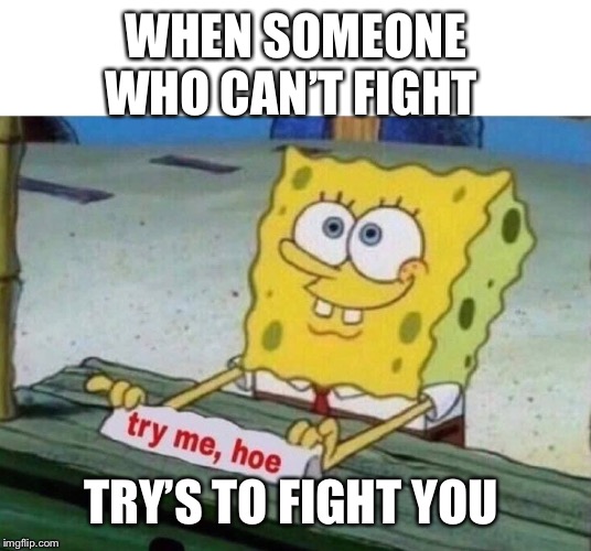 try me hoe | WHEN SOMEONE WHO CAN’T FIGHT; TRY’S TO FIGHT YOU | image tagged in try me hoe | made w/ Imgflip meme maker
