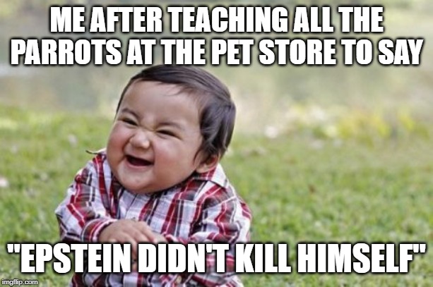 He he he ack cough | ME AFTER TEACHING ALL THE PARROTS AT THE PET STORE TO SAY; "EPSTEIN DIDN'T KILL HIMSELF" | image tagged in memes,evil toddler,funny,funny memes,politics,political meme | made w/ Imgflip meme maker