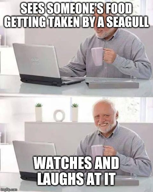 Hide the Pain Harold Meme | SEES SOMEONE'S FOOD GETTING TAKEN BY A SEAGULL; WATCHES AND LAUGHS AT IT | image tagged in memes,hide the pain harold | made w/ Imgflip meme maker