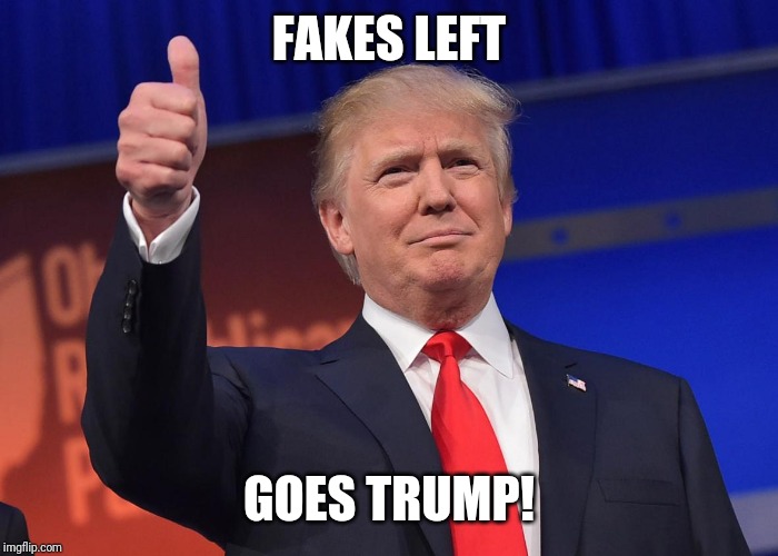 donald trump | FAKES LEFT; GOES TRUMP! | image tagged in donald trump | made w/ Imgflip meme maker