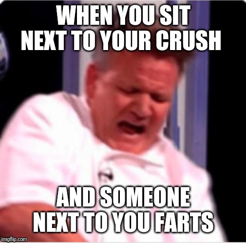 Farts | WHEN YOU SIT NEXT TO YOUR CRUSH; AND SOMEONE NEXT TO YOU FARTS | image tagged in ok | made w/ Imgflip meme maker