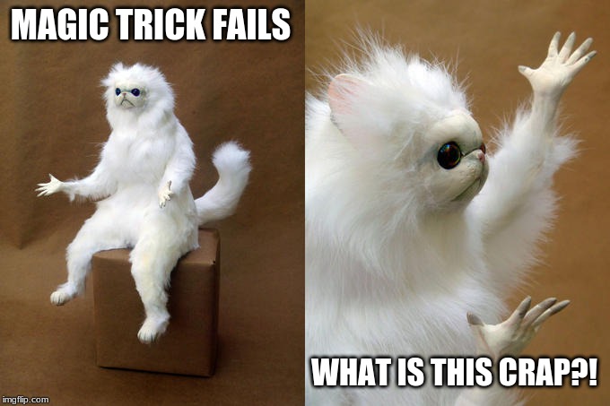 Persian Cat Room Guardian Meme | MAGIC TRICK FAILS; WHAT IS THIS CRAP?! | image tagged in memes,persian cat room guardian | made w/ Imgflip meme maker