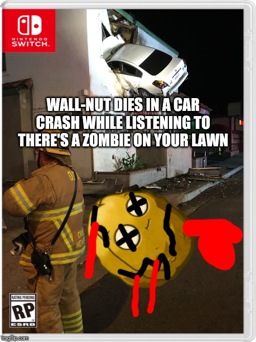 WALL-NUT DIES IN A CAR CRASH WHILE LISTENING TO THERE'S A ZOMBIE ON YOUR LAWN | image tagged in wall-nut,pvz,plants vs zombies,memes | made w/ Imgflip meme maker