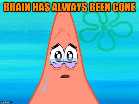 Sad Patrick | BRAIN HAS ALWAYS BEEN GONE | image tagged in sad patrick | made w/ Imgflip meme maker