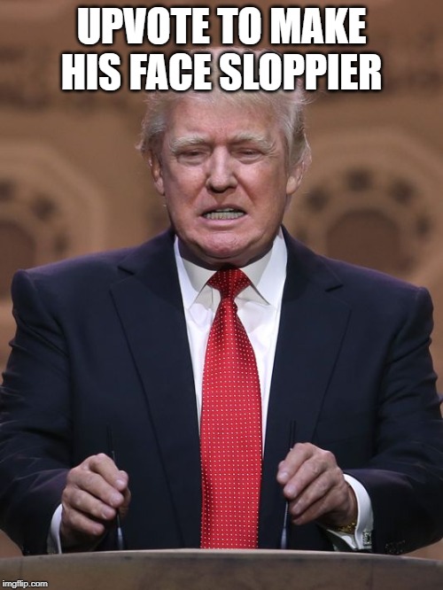 Donald Trump | UPVOTE TO MAKE HIS FACE SLOPPIER | image tagged in donald trump,face,funny,memes,politics | made w/ Imgflip meme maker