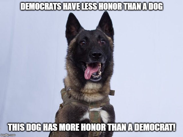 Sick em Boy! | DEMOCRATS HAVE LESS HONOR THAN A DOG; THIS DOG HAS MORE HONOR THAN A DEMOCRAT! | image tagged in service dog,democrats,honor,dishonor | made w/ Imgflip meme maker