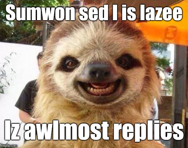 Thank you | Sumwon sed I is lazee; Iz awlmost replies | image tagged in thank you | made w/ Imgflip meme maker