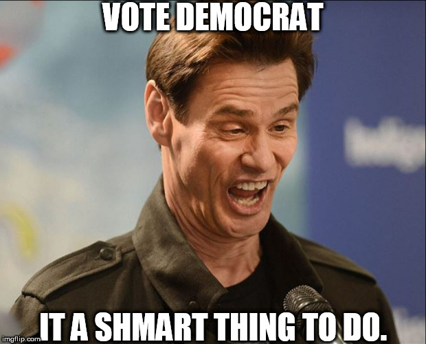 jim says  DERRRP! | VOTE DEMOCRAT; IT A SHMART THING TO DO. | image tagged in derrrp,jim carrey,he say dumbass,democrat,duhh | made w/ Imgflip meme maker