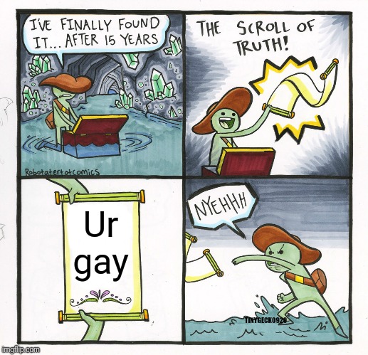 The Scroll Of Truth | Ur gay; TINYGECKO920 | image tagged in memes,the scroll of truth | made w/ Imgflip meme maker