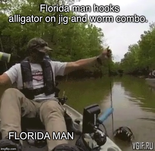 Florida man hooks alligator on jig and worm combo. FLORIDA MAN | made w/ Imgflip meme maker