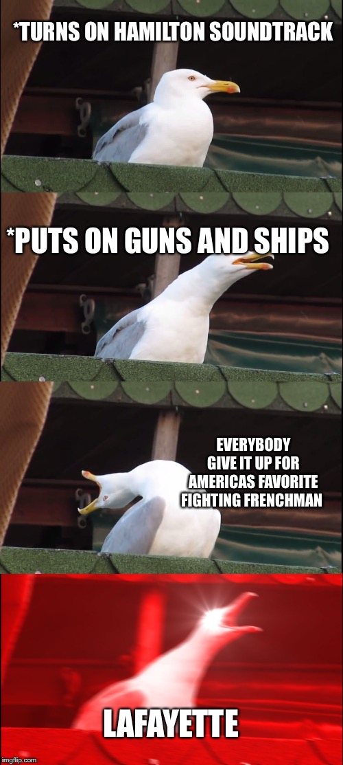 Inhaling Seagull | *TURNS ON HAMILTON SOUNDTRACK; *PUTS ON GUNS AND SHIPS; EVERYBODY GIVE IT UP FOR AMERICAS FAVORITE FIGHTING FRENCHMAN; LAFAYETTE | image tagged in memes,inhaling seagull | made w/ Imgflip meme maker