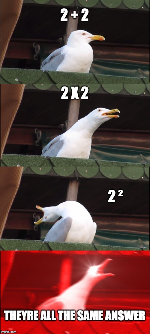 Inhaling Seagull | 2 + 2; 2 X 2; 2 ²; THEYRE ALL THE SAME ANSWER | image tagged in memes,inhaling seagull | made w/ Imgflip meme maker