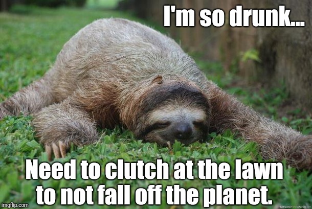 narcolepsy sloth | I'm so drunk... Need to clutch at the lawn
to not fall off the planet. | image tagged in narcolepsy sloth | made w/ Imgflip meme maker