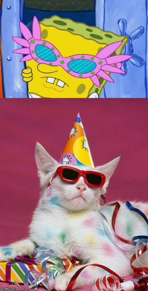 cat party | image tagged in happy birthday goodie | made w/ Imgflip meme maker